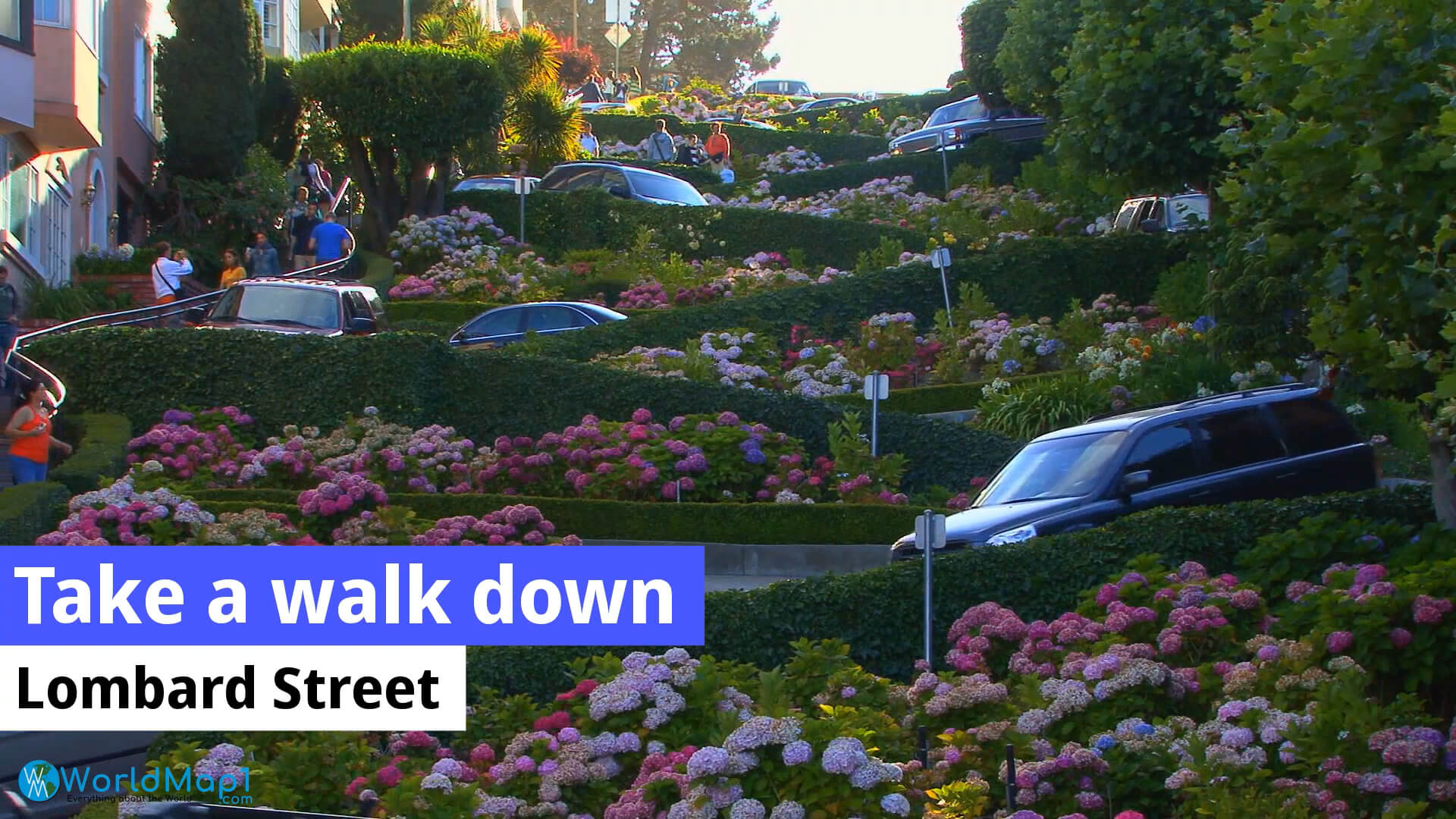 Take a Walk Down Lombard Street